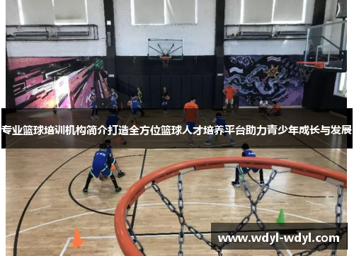 专业篮球培训机构简介打造全方位篮球人才培养平台助力青少年成长与发展