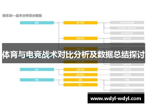 体育与电竞战术对比分析及数据总结探讨