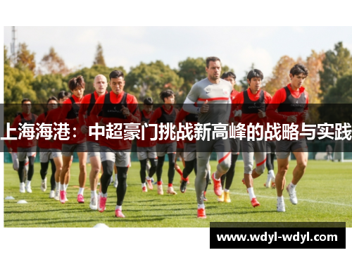 上海海港：中超豪门挑战新高峰的战略与实践