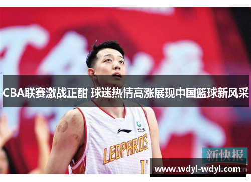 CBA联赛激战正酣 球迷热情高涨展现中国篮球新风采